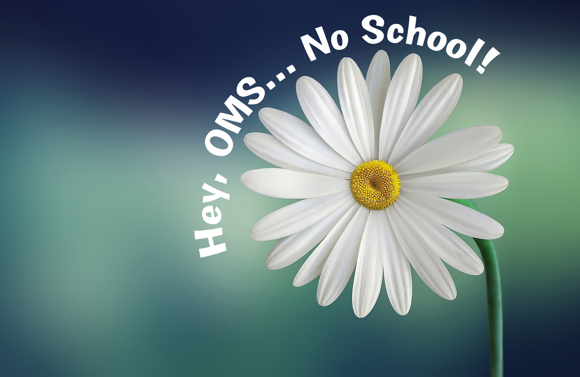 SPRING BREAK – March 24-28, 2025